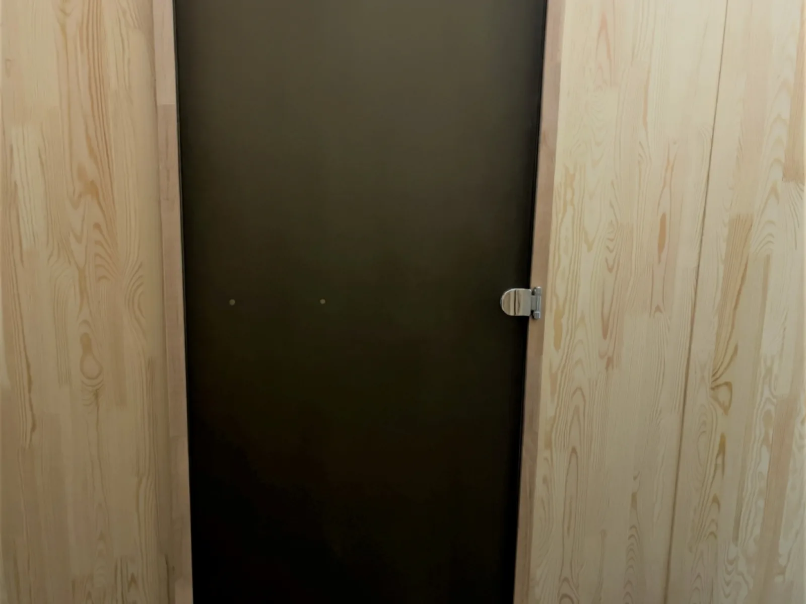 Дверь стеклянная 40 x 700 x 1900 мм, «Бронза матовая», класс Экстра